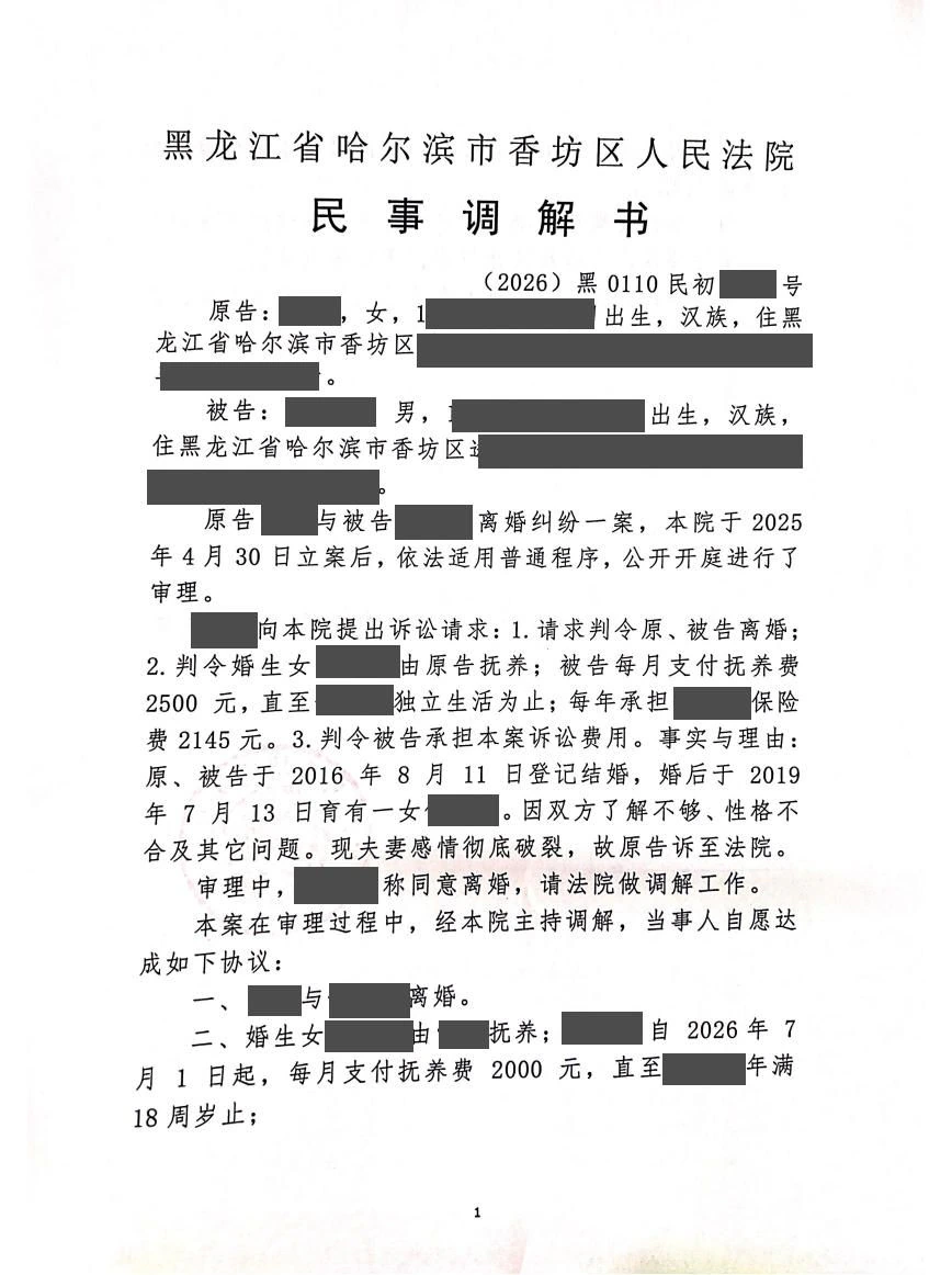 婚姻家事离婚纠纷案例脱敏文书封面